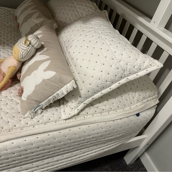 Beddy’s Monroe Luxe- Full Size (color as shown in photo) original zip. - Picture 6 of 8